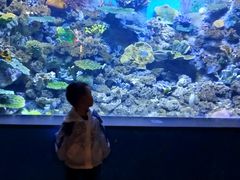 -常州海昌海洋探索馆