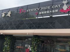 -糯米喵星人总部直营旗舰店·猫舍·幼猫出售