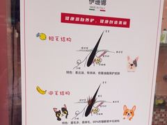 -FAELING PETS美天灵宠物(合生汇店)