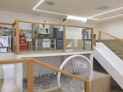 -小小王国亲子游泳(富民中心)