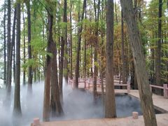 -东湖落雁景区