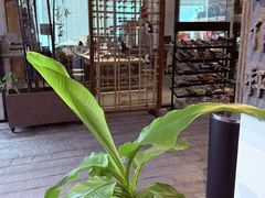 -大视光学•LINDBERG林德伯格•全球手工眼镜集合店(王府井店)