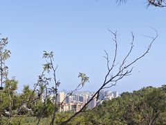 -北岭山森林公园