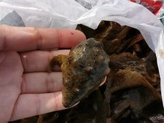 -青岛第三海水浴场