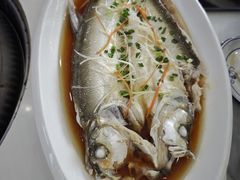-丹水桥地锅鱼·翘嘴鲌·地方特色全鱼宴(丹江口大坝店)