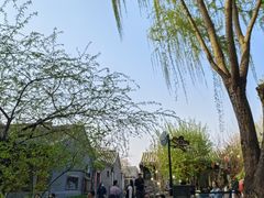 -春风习习