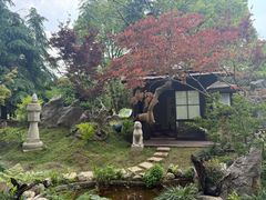 -上海鲜花港