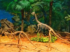 -自贡恐龙博物馆