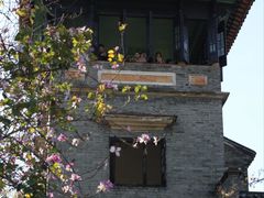 -东莞市可园博物馆