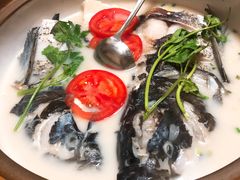 千岛湖浓汤鱼头-全乐鱼馆·淳牌有机鱼直营店