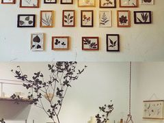 -MAISON门前杂货店