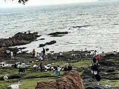 -青岛第二海水浴场