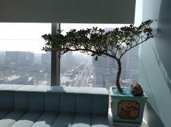 -颜蕾医美·黄金微针·水光·玻尿酸·超声炮·抗衰中心