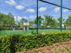 -新江湾城公园
