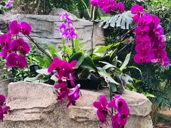 -石家庄市植物园