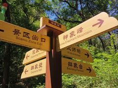 -老象峰