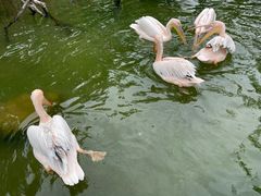 -灵玲国际马戏城