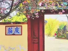 -庾园
