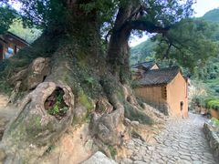 -杨家堂村