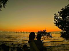 -宝安西湾红树林湿地公园