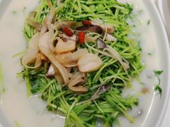 -石头咕(葵蓬店)