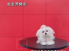 -宠颐生宠物医院·心肾内科·猫专科诊疗中心宠巢店