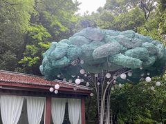 -杭州黄龙洞