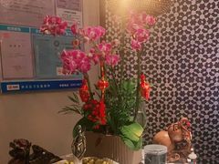 -青泰足浴·SPA养生连锁(新区店)
