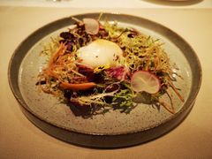 -Oyster Talks 四度蚝法餐厅