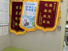 -瑞鹏宠物医院·骨外科·心肾科·肿瘤科(九亭店)