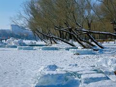 -长春市南湖公园