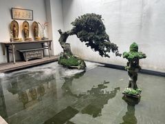 -觀芷隐轩