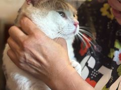 -云端咖啡私房店(河松街店)