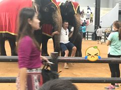 -东芭乐园