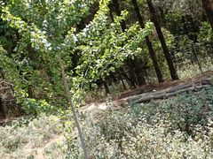 -云南野生动物园