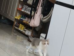 -联合动物医院(光谷诊疗中心)