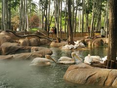 -北京野生动物园