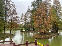 -佛冈森波拉度假区