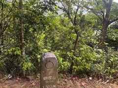 -梧桐山风景名胜区