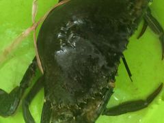 -班赞海鲜市场