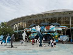 -海合安成都极地海洋公园
