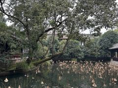 -成都武侯祠博物馆