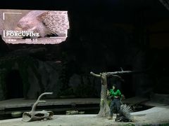 -夜间野生动物园