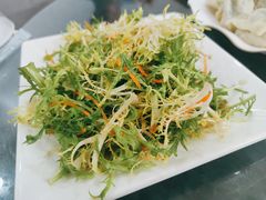 凉拌苦菊-金阁家常菜(贵阳路店)