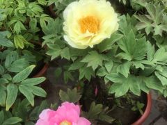 -狼山风景名胜区