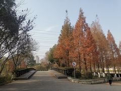 -九里河湿地公园