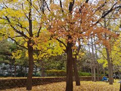 -元大都城垣遗址公园