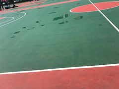 -四川省南充市白塔中学