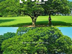 -华南国家植物园-售票处