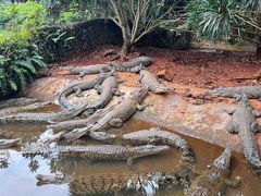 -海南热带野生动植物园